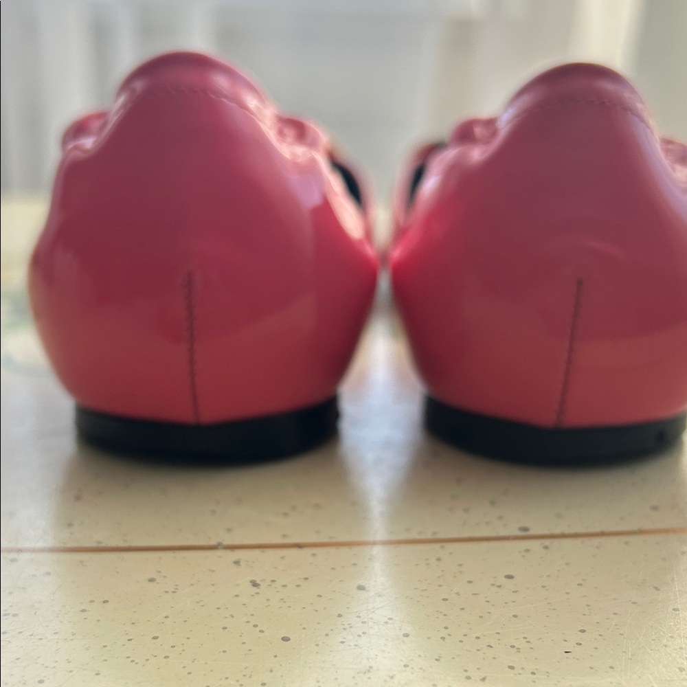 Roger Vivier Fuchsia Flats with Gold  Buckle 💖
FIRM Price - Picture 3 of 5